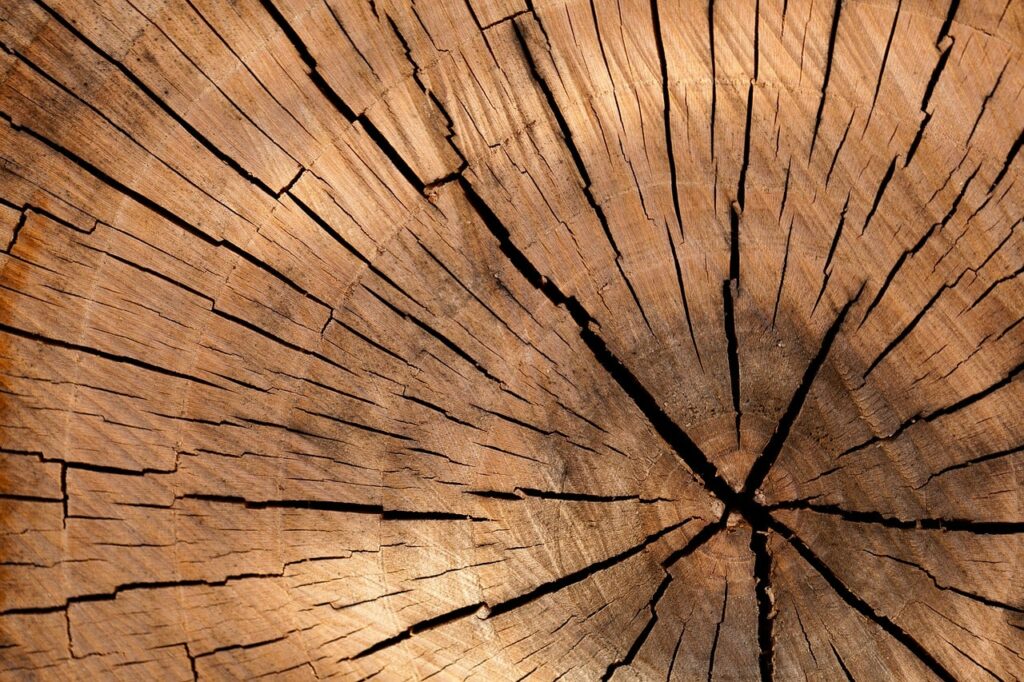 Holz Nahaufnahme Brennholz welcher Holzspalter ist der beste-min