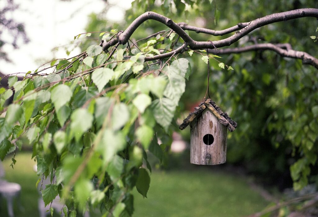 Vogelhaus Garten Ast Gärtnern mit kleinem Budget Tipps zum Sparen