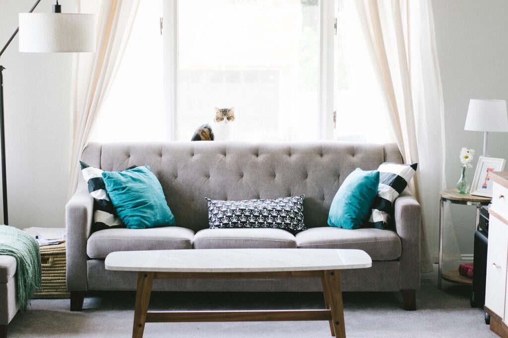 Wohnzimmer Couch Katze Kleines Wohnzimmer einrichten – Guide mit Tipps für Stil & Funktion
