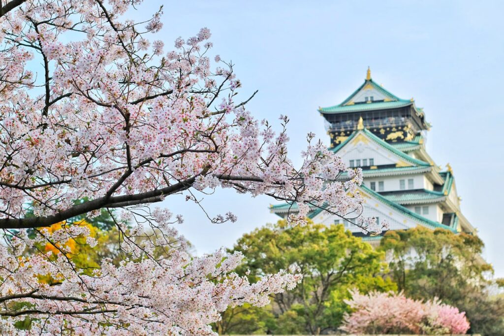 Japan Kultur Tempel Kirschblüten Japanischer Einrichtungsstil – Das zeichnet ihn aus